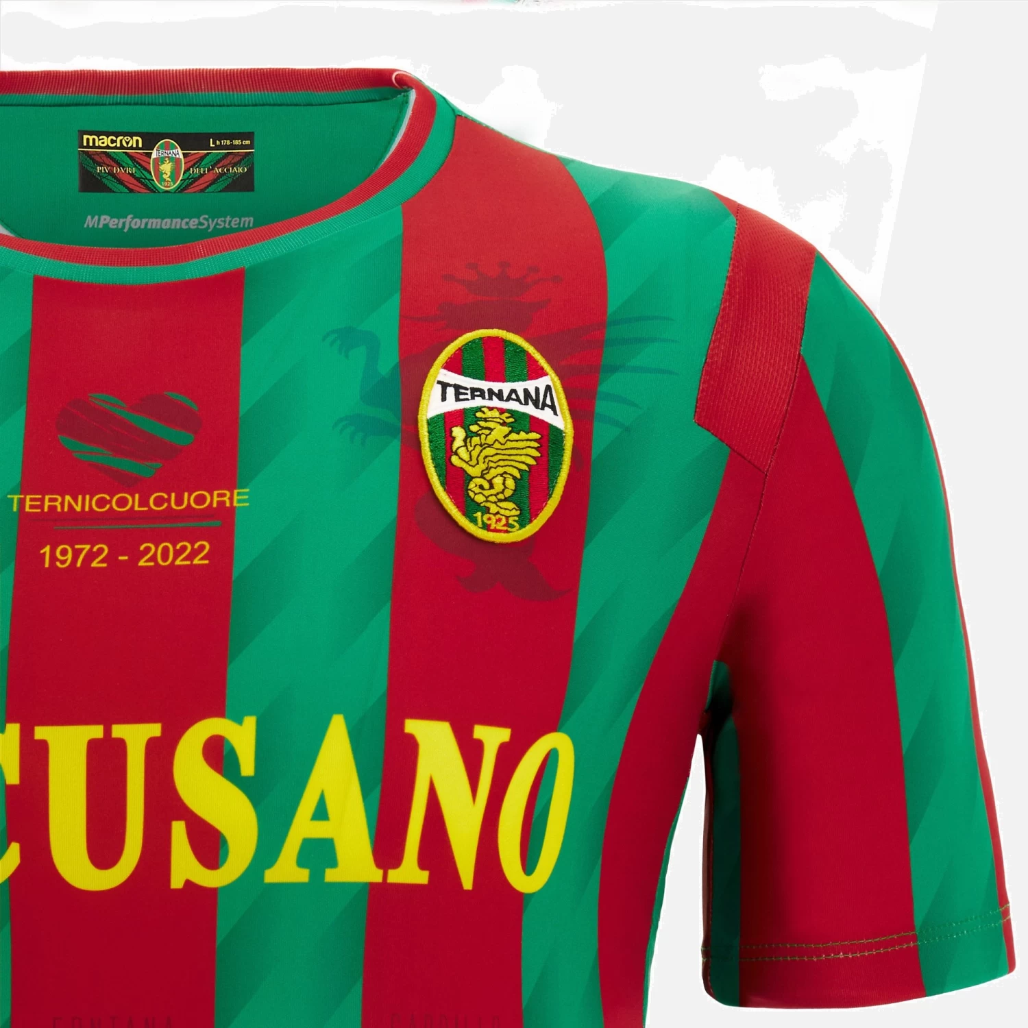 Ternana Calcio 2022/23 Adults' Home Match Jersey 3 Ternana Calcio 2022/23 Adults' Home Match Jersey - Image 3