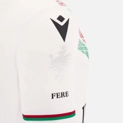 Ternana Calcio 2022/23 Adults' Away Match Jersey -Boutique Jersey Discount Store 2e011feeba004d09f7adc74ed1fa289d58563303 05