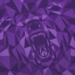 Pacific FC 2023/24 Adults' Home Match Jersey -Boutique Jersey Discount Store 3bebd767788aab3859b5ee6c2efddaaa58563323 04