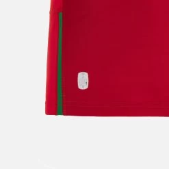 Welsh Rugby 2022/23 Home Pathway Replica Shirt -Boutique Jersey Discount Store 434c67c1ea4385b1ee205bb011da95a158558509 04