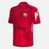 Dragons 2023/24 Adults' Match Jersey