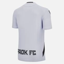 Paok FC 2022/23 Adults' Training Shirt -Boutique Jersey Discount Store 46bb0b7d0aabba51cff4d8c6a9efa08d58554943 02
