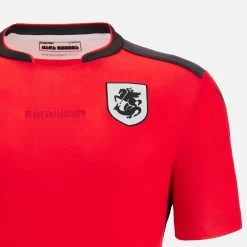 Georgian Football Federation 2022/23 Adults' Away Match Jersey -Boutique Jersey Discount Store 53f7ca0eca31edfef4d254562760204458563756 03