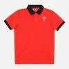 Welsh Rugby 2020/21 Piquet Cotton Children's Polo Shirt From The Fans Collection