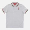 Welsh Rugby 2020/21 Grey Piquet Cotton Children's Polo Shirt From The Fans Collection