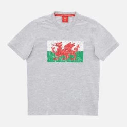 Welsh Rugby 2020/21 Fans Collection Melange Grey Children's T-shirt