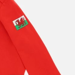 Welsh Rugby 2020/21 Fans Collection Children's Hoodie -Boutique Jersey Discount Store 58195715 04