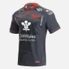 Scarlets 2021/22 Adults' Away Replica Shirt