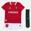 Welsh Rugby 2021/22 Kids Home Replica Kit