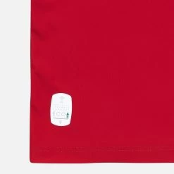 Welsh Rugby 2021/22 Baby Home Replica Kit -Boutique Jersey Discount Store 58538438 04