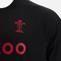 Welsh Rugby 2022/23 Contact Top -Boutique Jersey Discount Store 58538474 03