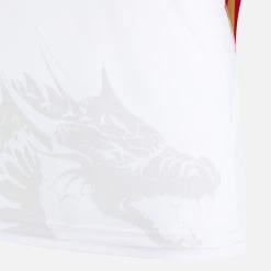 Dragons Catalans 2021/22 Adults' Home Poly Replica Shirt 7 Dragons Catalans 2021/22 Adults' Home Poly Replica Shirt -Boutique Jersey Discount Store 58546497 04