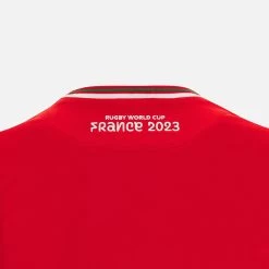Rugby World Cup 2023 Welsh Rugby Adults' Official Polycotton T-shirt -Boutique Jersey Discount Store 75696aa350d68b437255b5c3aa6634f758563996 04 1