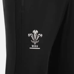 Welsh Rugby 2022/23 Junior Fitted Track Pants -Boutique Jersey Discount Store 891c62f60d831a77c855406088da9ae458558970 03