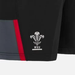 Welsh Rugby 2022/23 Junior Training Shorts -Boutique Jersey Discount Store 8c9e10666ee013374b6fa58a1a01bedc58558974 03