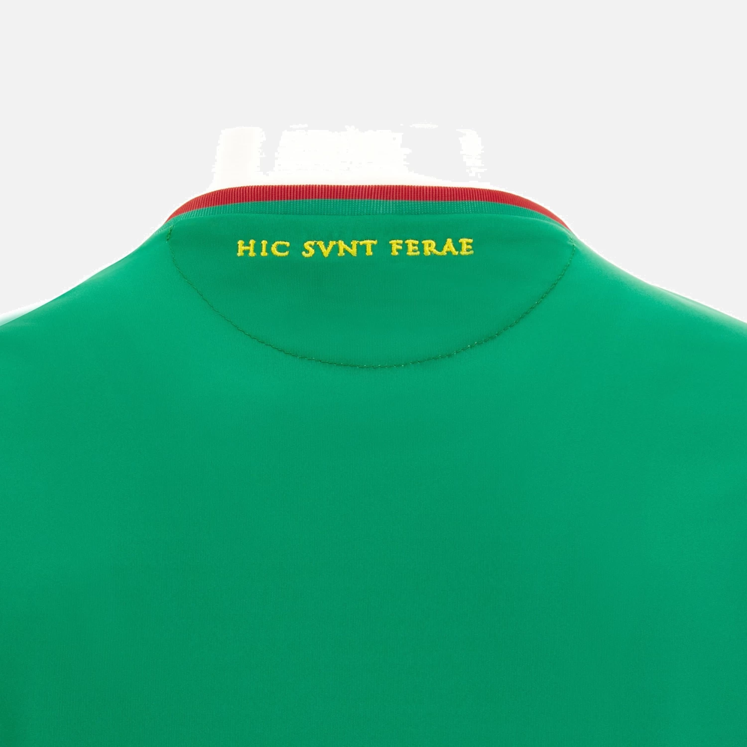 Ternana Calcio 2022/23 Adults' Home Match Jersey 4 Ternana Calcio 2022/23 Adults' Home Match Jersey - Image 4