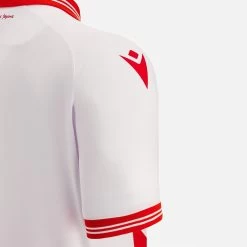 Red Star Belgrade 2022/23 Adults' Third Match Jersey -Boutique Jersey Discount Store a36571feb466c5aa4aa3802a53cb918358567444 05