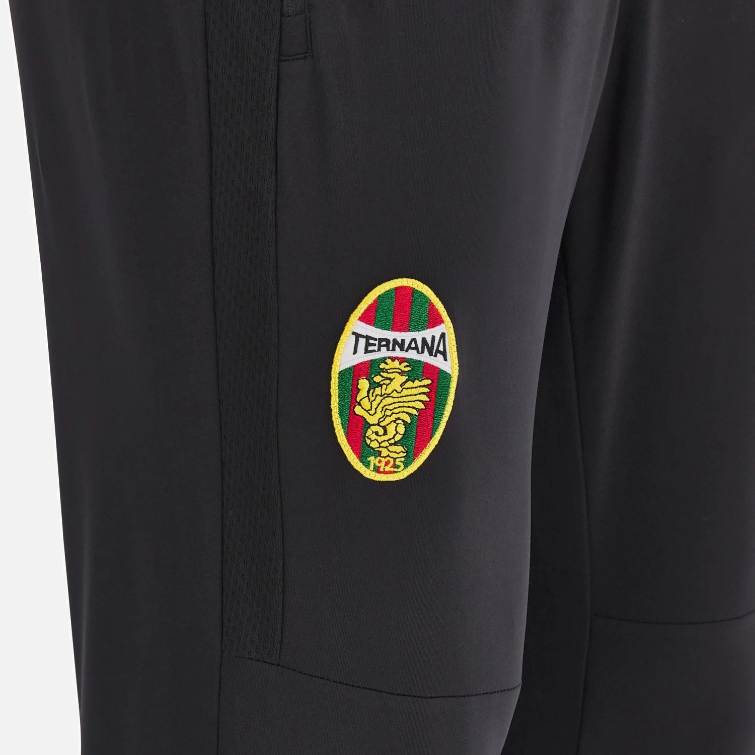 Ternana Calcio 2022/23 Adults' Training Pants 3 Ternana Calcio 2022/23 Adults' Training Pants - Image 3