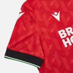 Hannover 96 2023/24 Adults' Home Match Jersey 10 Hannover 96 2023/24 Adults' Home Match Jersey -Boutique Jersey Discount Store bb1341d89488eb67ed60d07d7ef9a2cc58570312 05