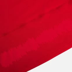 Welsh Rugby 2022 7s RWC Home Replica Shirt 9 Welsh Rugby 2022 7s RWC Home Replica Shirt -Boutique Jersey Discount Store bbe328cd70e5d497793208acf9ebc12158558524 05