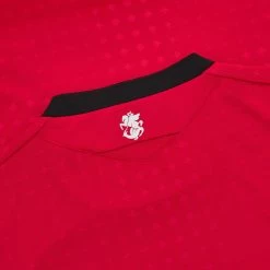 Georgian Football Federation 2023/24 Adults' Third Match Jersey -Boutique Jersey Discount Store c4bf29efd0a6b055126fddc1473ae68458571369 04