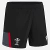 Welsh Rugby 2022/23 Training Shorts