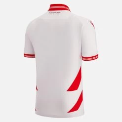 Red Star Belgrade 2022/23 Adults' Third Match Jersey -Boutique Jersey Discount Store ef3eb70bbf6976427702f1d4347227ea58567444 02