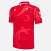 Welsh Rugby 2022 Commonwealth Games Home Replica Shirt
