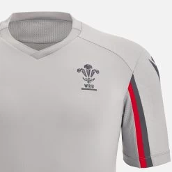 Welsh Rugby 2022/23 Grey Training Tee -Boutique Jersey Discount Store f4bbaa8e594ad2bcece99ba17e007ee158558965 03