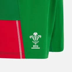 Welsh Rugby 2022/23 Away Pathway Shorts -Boutique Jersey Discount Store fcd017823d87073d04a94f3b171157b758558518 03